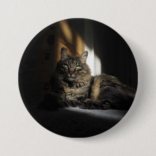 Badge Rond 7,6 Cm Rubans de chat de Kimber de bouton de lumière du