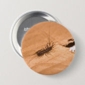 Badge Rond 7,6 Cm Scutigère (Devant & derrière)