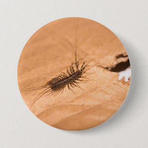 Badge Rond 7,6 Cm Scutigère