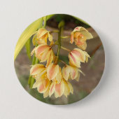 Badge Rond 7,6 Cm Sticker à fleurs d'orchidées (Devant)