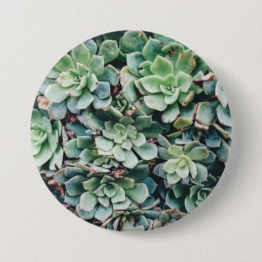 Badge Rond 7,6 Cm Succulents 2 (Devant)