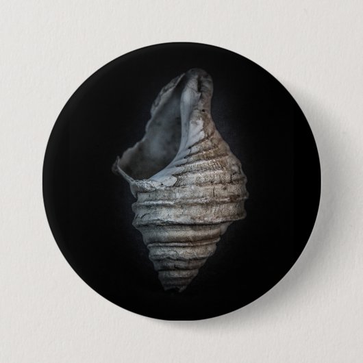 Badge Rond 7,6 Cm Version couleur Shells No 6 (Devant)