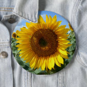 Badge rond colossal de tournesol (En situation)