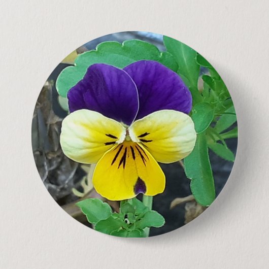 Badge rond Pansy Violet et Jaune (Devant)