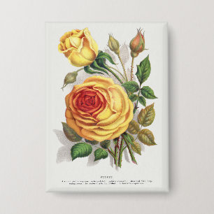 Badge Rose jaune et orange de coucher de soleil vintage,