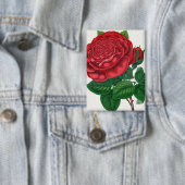Badge Rose Print Rochester Lithographing and Printing Co (Insitu)