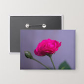 Badge Rosier de jardin rose (Recto/Verso)