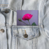Badge Rosier de jardin rose (Insitu)