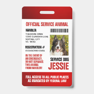 Badge Rouge Carte d'identité officielle personnalisée po