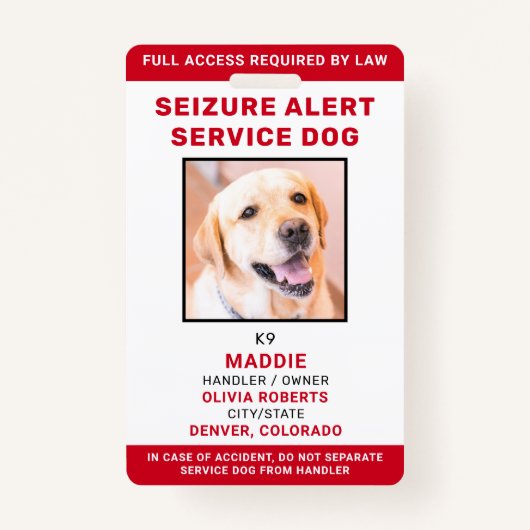 Badge Service Personnalisé Chien de Saisie Alerte Chien (Devant)