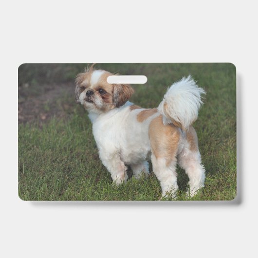 Badge Shih Tzu le plus mignon (Avant)