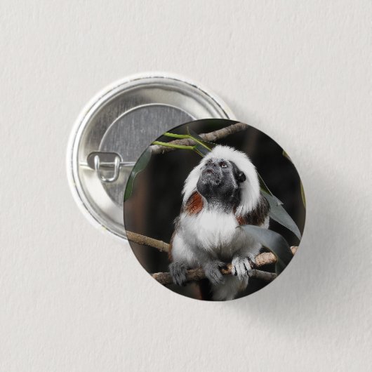 Badge Tamarin (Devant & derrière)