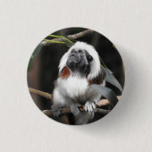 Badge Tamarin (Devant)