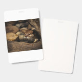 Badge test (Avant & arrière)