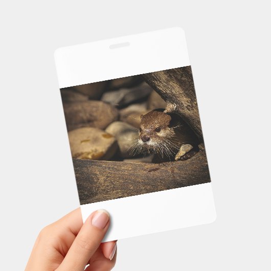 Badge test (Manuel / portable)