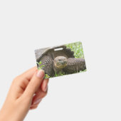 Badge Tortue géante (Manuel / portable)