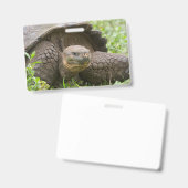 Badge Tortue géante (Avant & arrière)