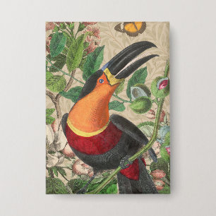 Badge Toucan Jungle Tropical Bird Belle antique