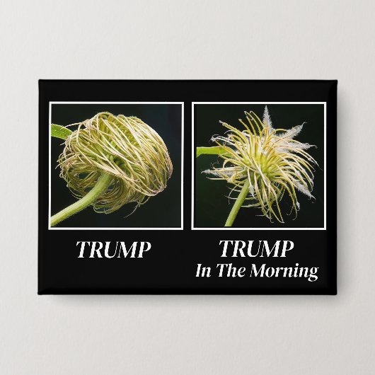 Badge Trump Hair (Recto)