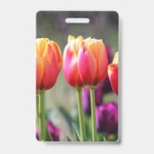 Badge Tulipes Tombées En Flammes (Arrière)