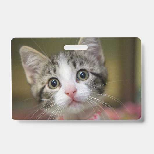 Badge Un chaton mignon aux yeux verts (Avant)