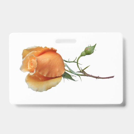 Badge Une seule bouture de rose (Avant)