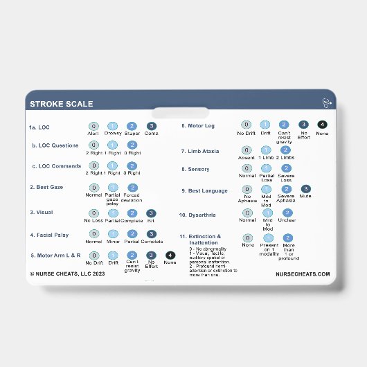 BADGE VOOR LIJNSCHAAL (Voorkant)