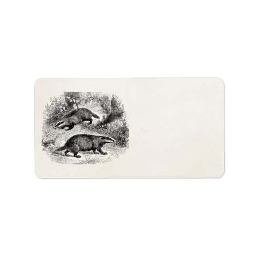  Badger 1800s Illustratie Badgers Etiket (Voorkant)