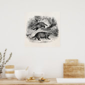  Badger 1800s Illustratie Badgers Poster (Keuken)