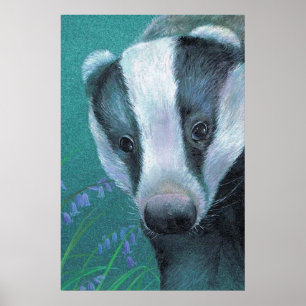 Badger dans le bluebell woods affiche