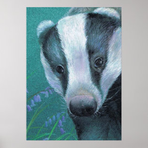 Badger dans le bluebell woods affiche