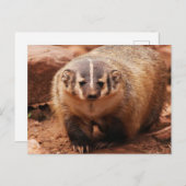 Badger Feestdagenkaart (Voorkant / Achterkant)