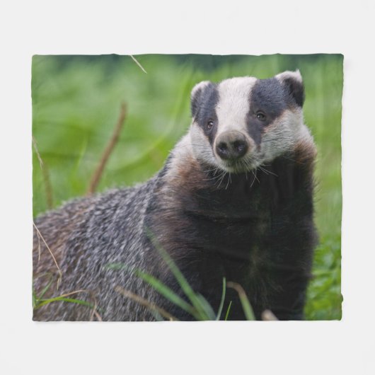 Badger Fleece Blanket Deken (Voorkant (Horizontaal))