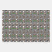 Badger Inpakpapier Vel (Voorkant)