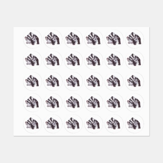 BADGER LABELS (Vel)