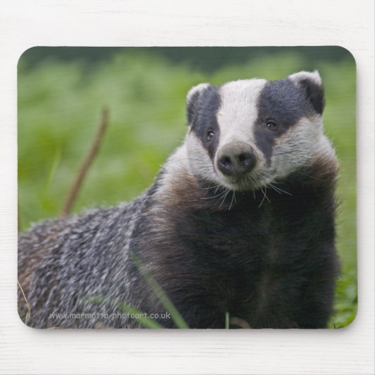 Badger Mousemat Muismat (Voorkant)