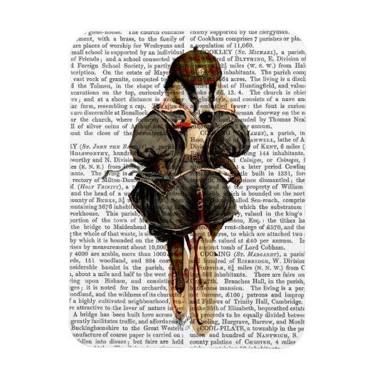 Badger op  fiets magneet (Verticaal)