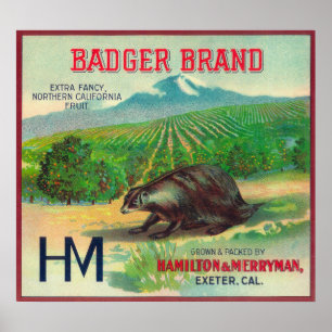 Badger Oranje LabelExeter, CA Poster