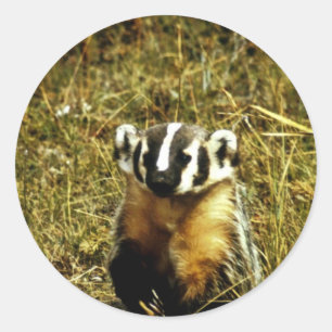 Badger Ronde Sticker