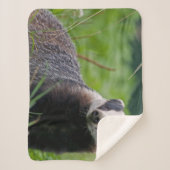 Badger Sherpa Blanket Sherpa Deken (Voorkant)