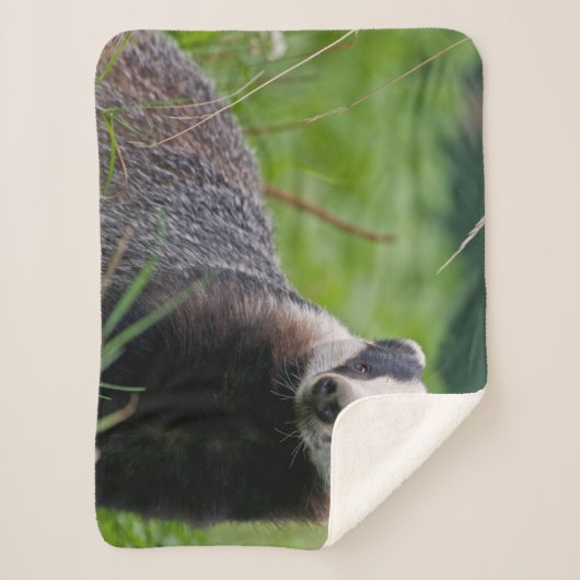 Badger Sherpa Blanket Sherpa Deken (Voorkant)
