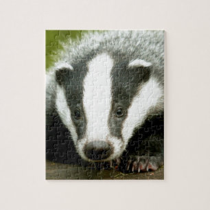 Badger - Verbluffende pro foto! Legpuzzel