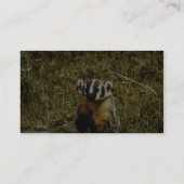 Badger Visitekaartje (Achterkant)