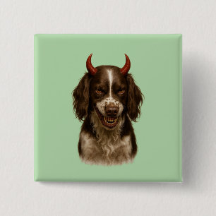 Badges d'English Springer Spaniel ayant l'air diab