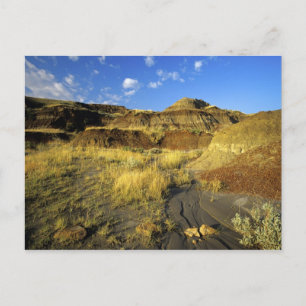 Badlands bij Dinosaur Provincial Park in Alberta, Briefkaart