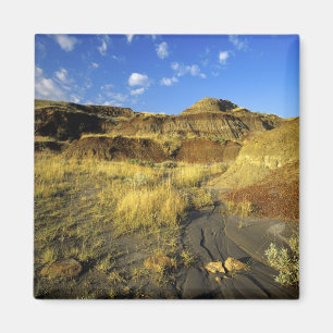 Badlands bij Dinosaur Provincial Park in Alberta, Magneet