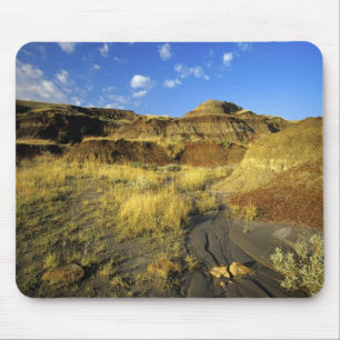 Badlands bij Dinosaur Provincial Park in Alberta, Muismat