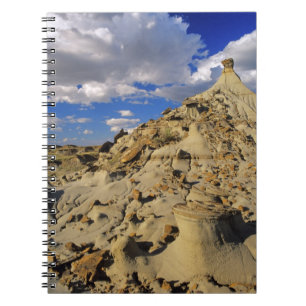 Badlands bij Dinosaur Provincial Park in Alberta, Notitieboek