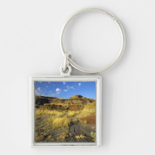 Badlands bij Dinosaur Provincial Park in Alberta, Sleutelhanger