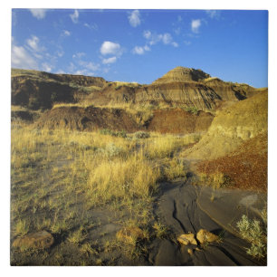 Badlands bij Dinosaur Provincial Park in Alberta, Tegeltje